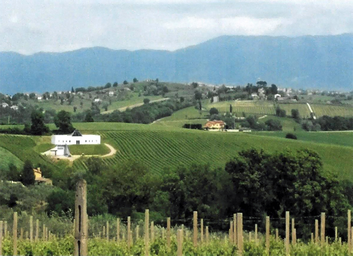Buy winery in Italy