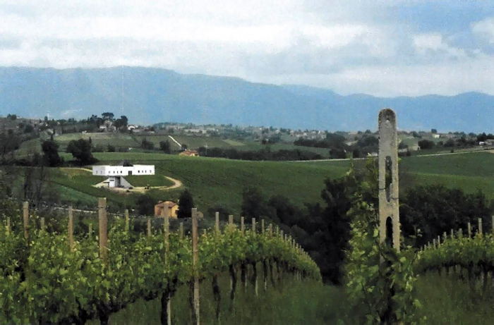 Buy winery in Italy