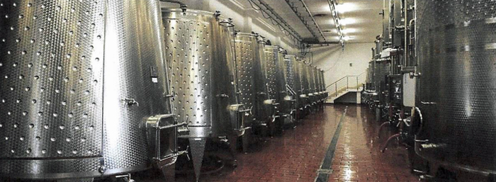 Buy winery in Italy