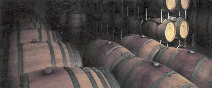 Buy winery in Italy