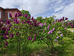 Валаам 9